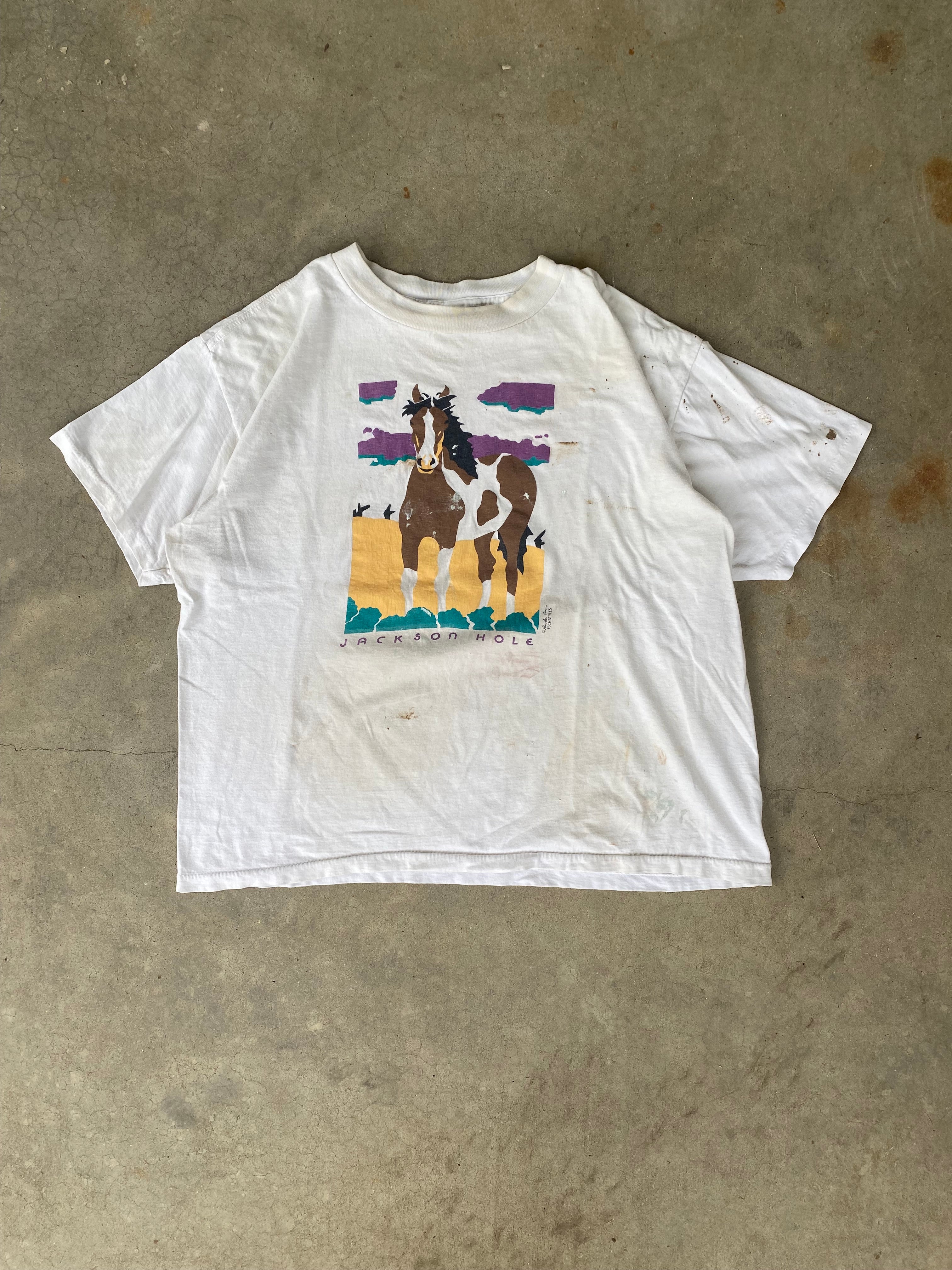 1990s Jackson Hole Paint/Worn T-Shirt (XL)