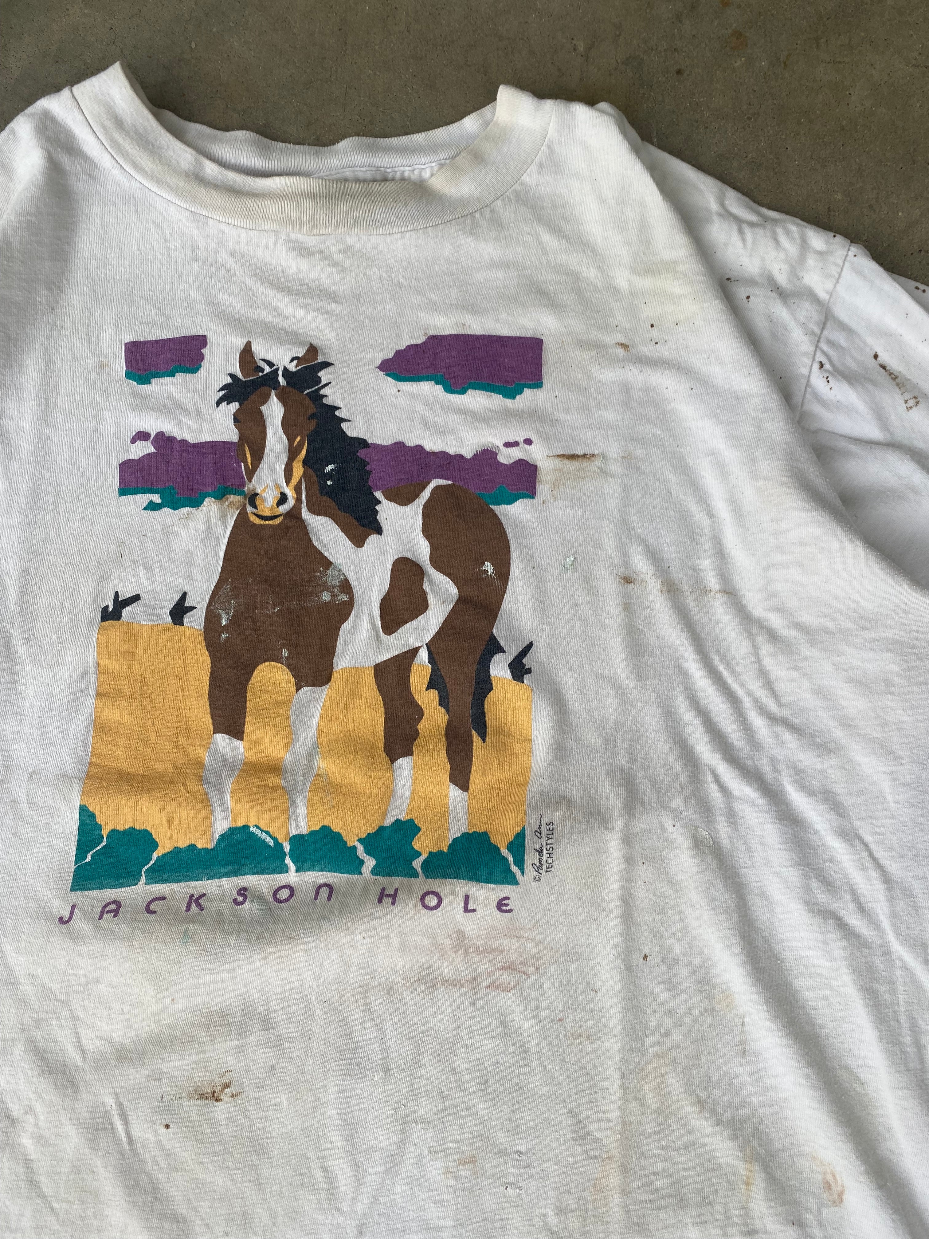 1990s Jackson Hole Paint/Worn T-Shirt (XL)